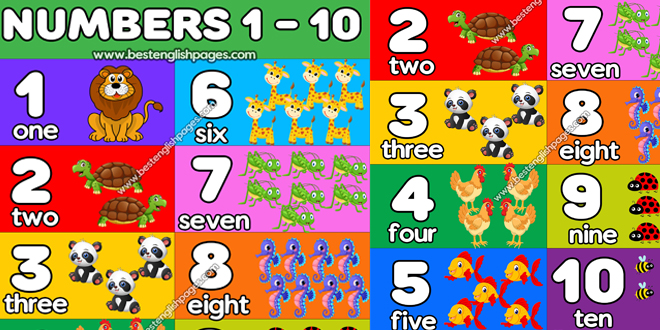 Best Free Number Chart For Kids : Counting Chart | Number Chart 1 to 10 English for Kids