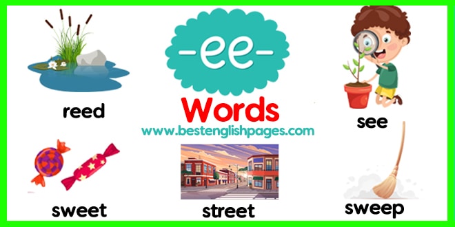 What Are Words With EE In Them 900 EE Words With Sentence Examples