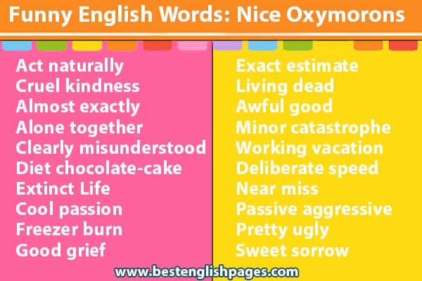 what-are-some-funny-english-words-for-students-the-100-funniest-words-in-english-best-english